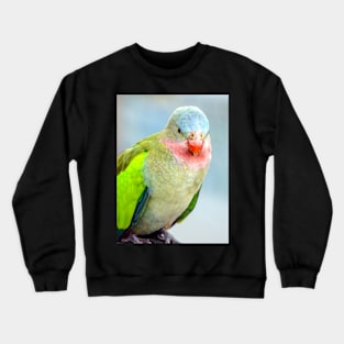 Princess Parrot Crewneck Sweatshirt